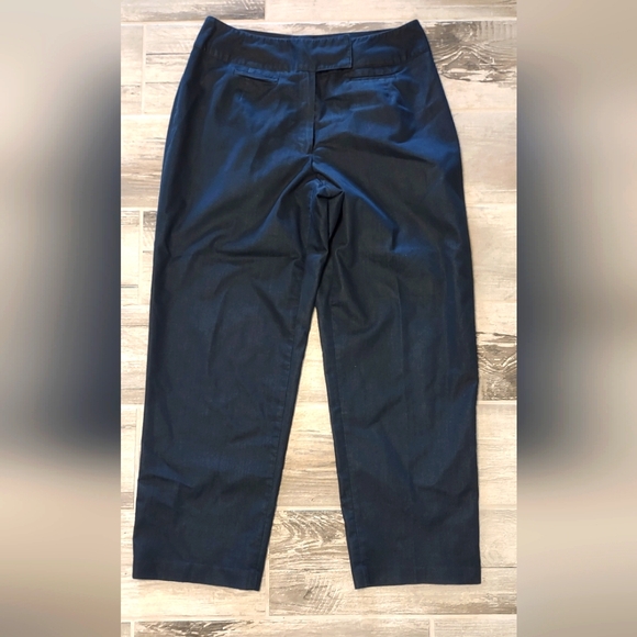 Pants - Pantology Navy Blue Trousers 14w